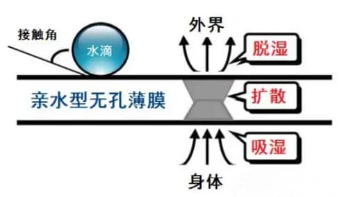 1671150654668756.jpg v2-d004fae12b5be9ddb6e35aaca454c48e_1440w.jpg