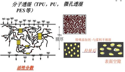 1671150683936672.jpg v2-f56b6ba3f592b4c745ec280b99af9413_1440w.jpg